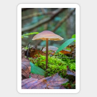 Slender Fungi Sticker